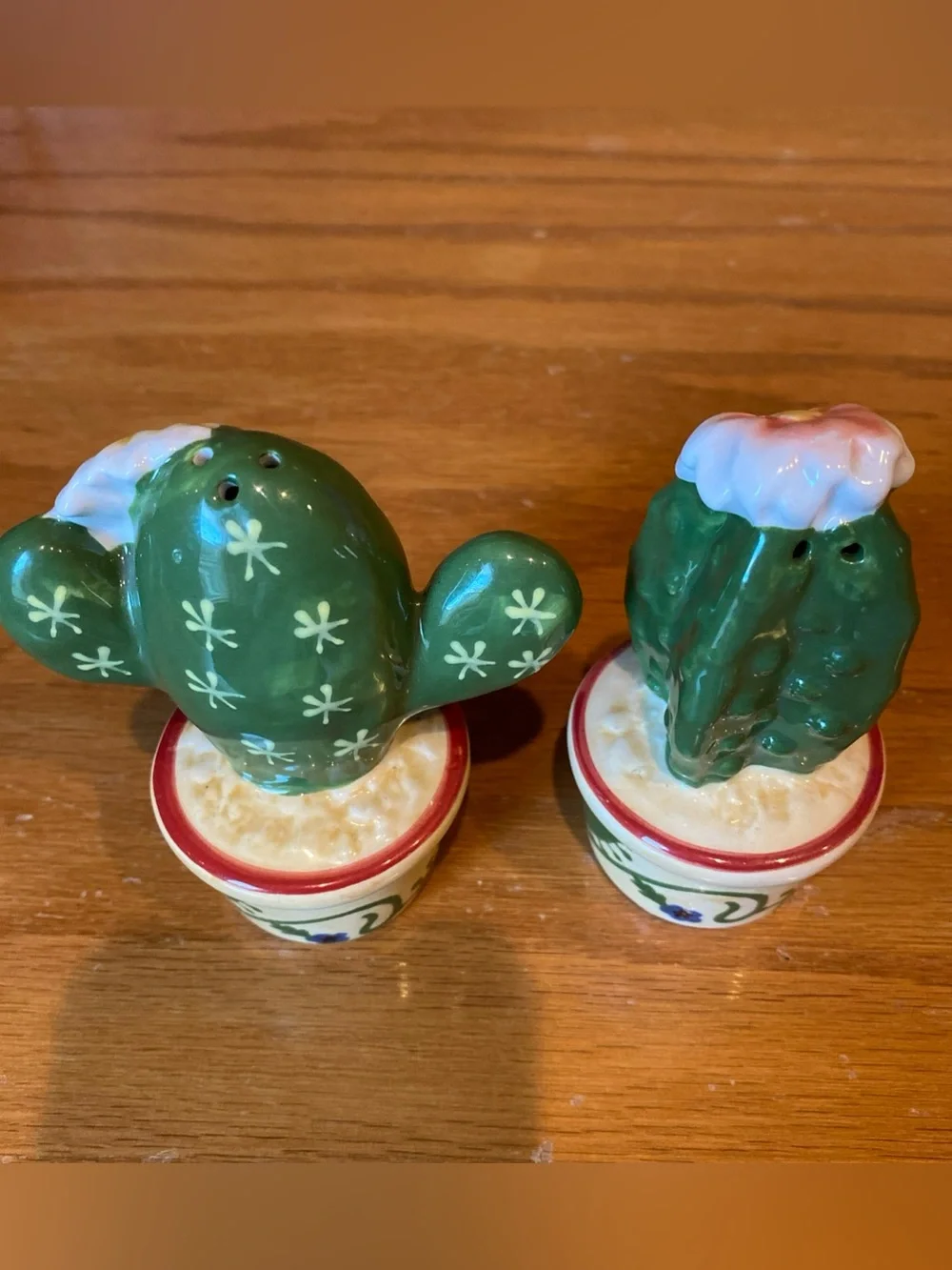 Ceramic Cactus Salt And Pepper Shakers Hand Painted 4” Tall